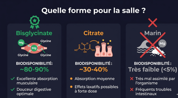comparatif formes magnésium bisglycinate citrate marin musculation