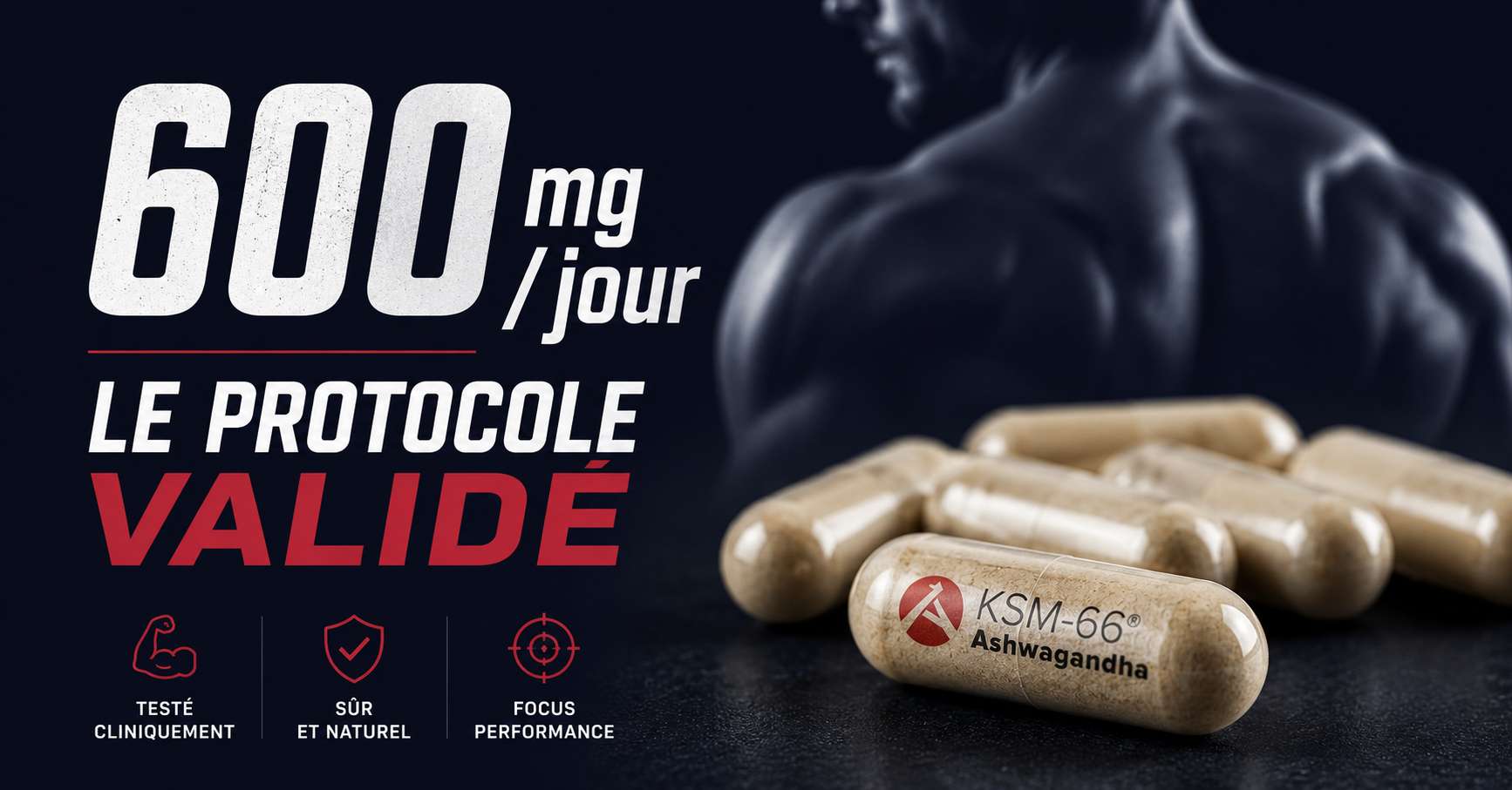 Ashwagandha KSM-66 - Extrait standardisé