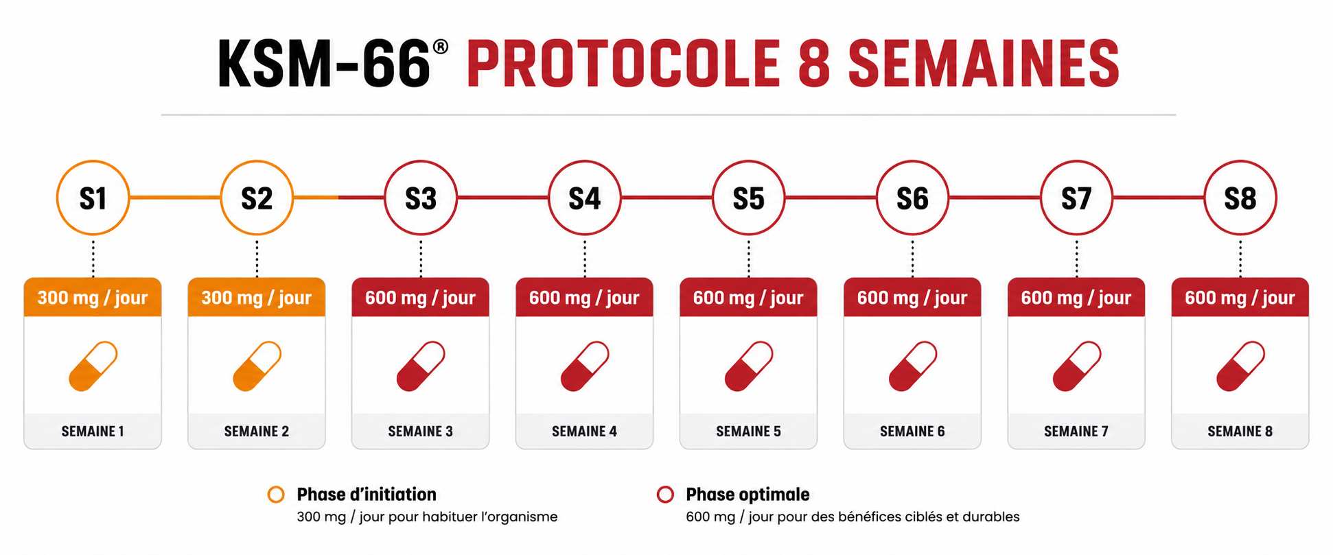 Protocole ashwagandha KSM-66 sur 8 semaines