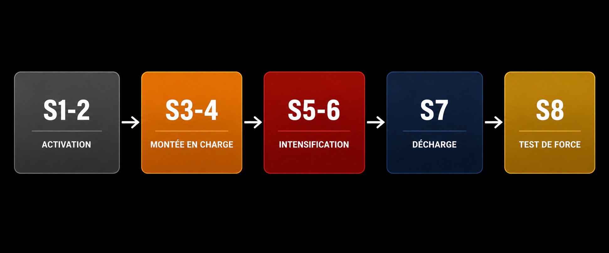 Les 5 mouvements fondamentaux du programme haltères réglables force