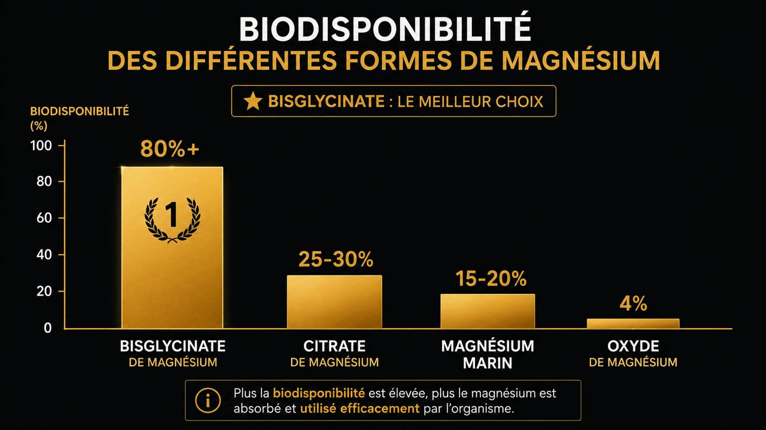 Comparatif de biodisponibilité des différentes formes de magnésium : bisglycinate, citrate, oxyde, marin