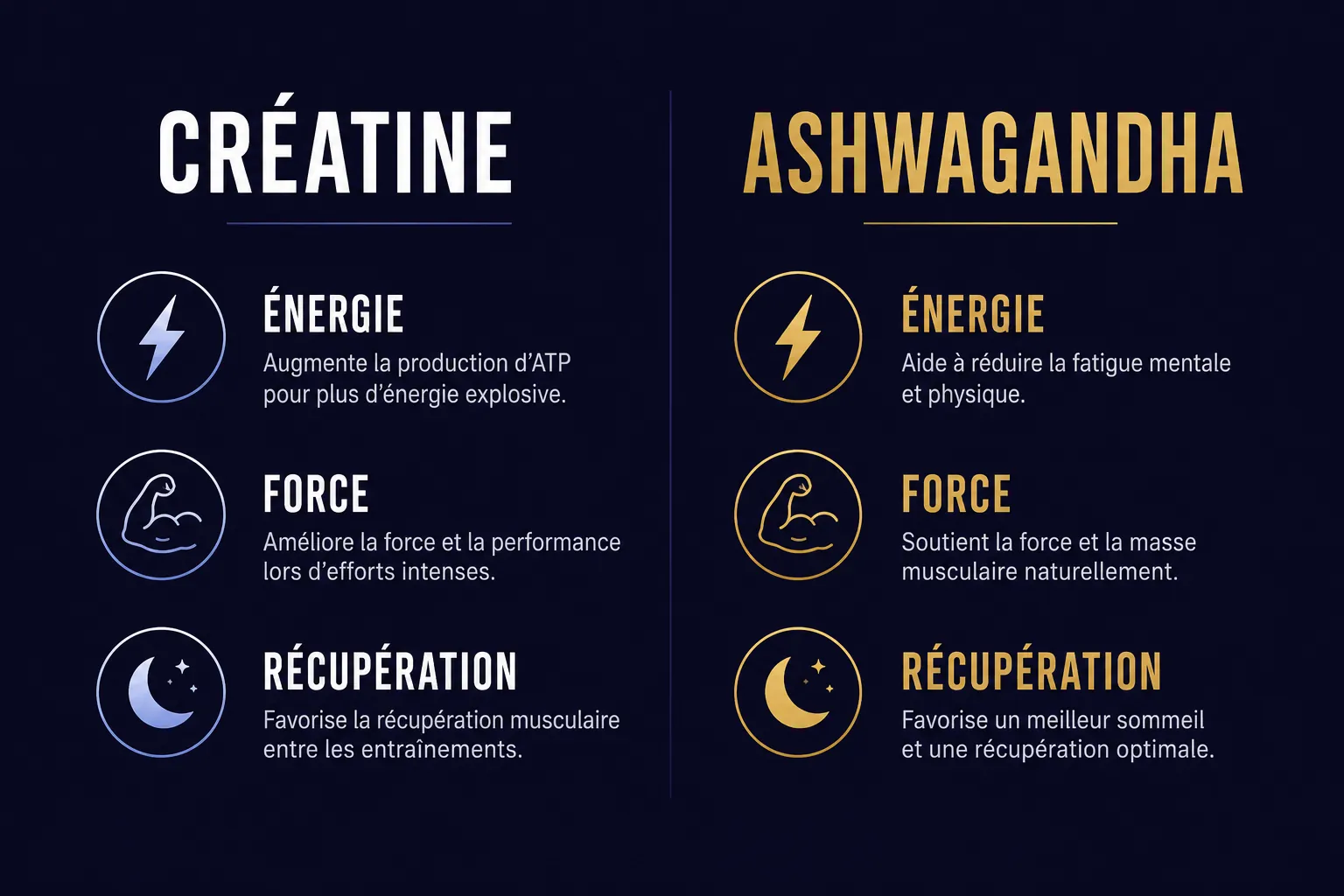 infographie mécanismes créatine ashwagandha musculation comparaison