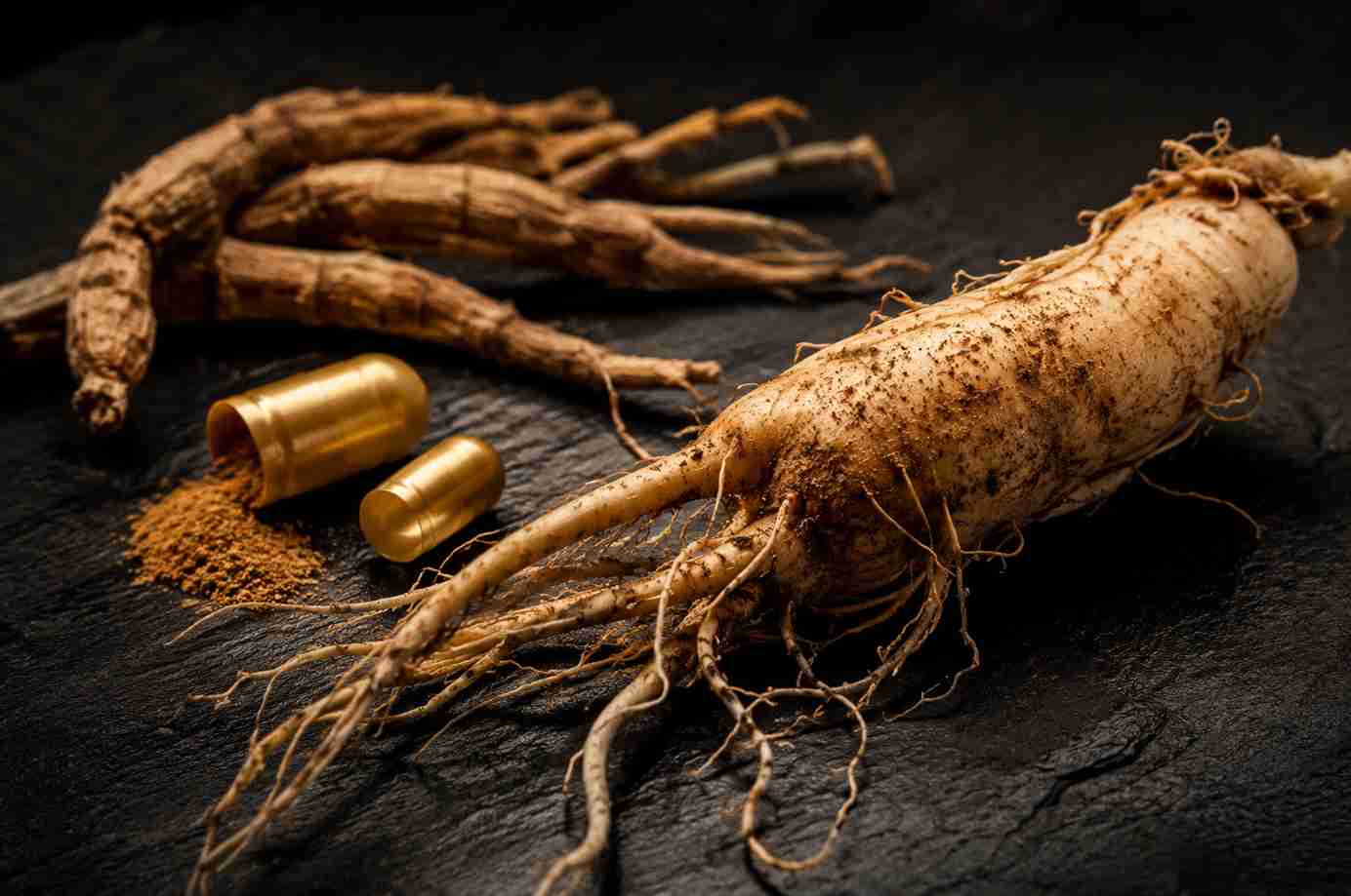 Racine de ginseng panax fraîche et capsule d'extrait standardisé — booster naturel de testostérone