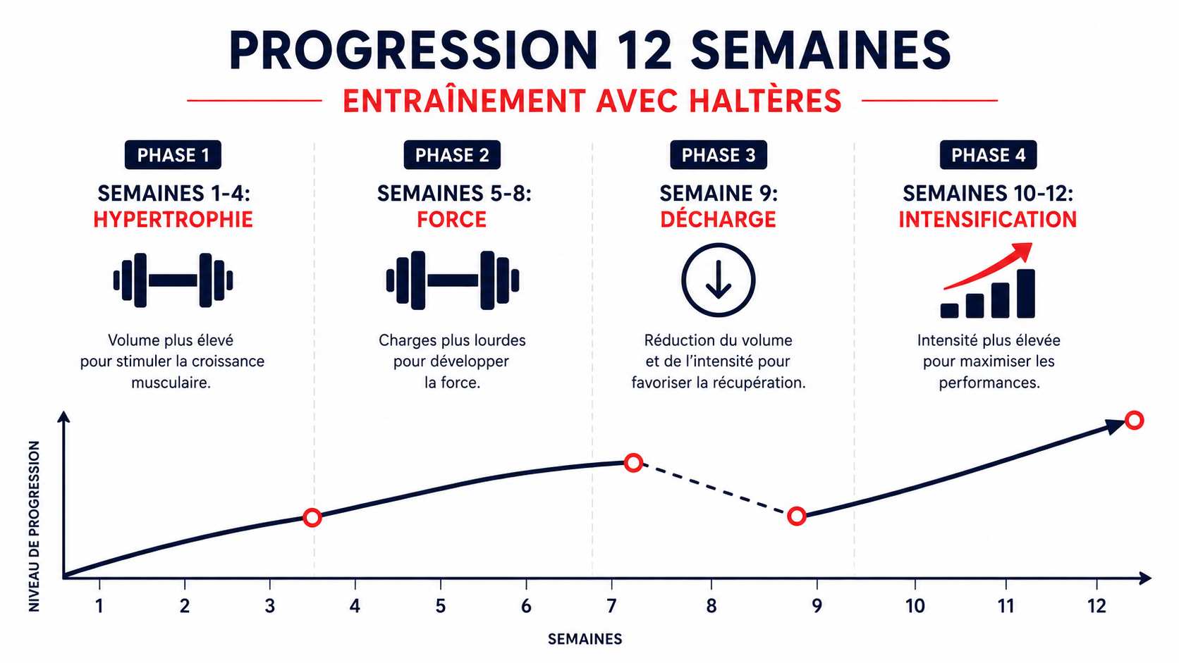 Plan de progression 12 semaines haltères réglables