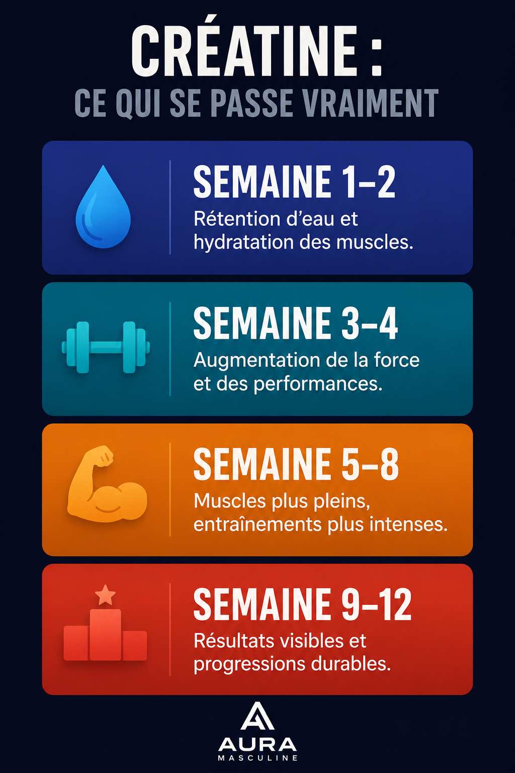 infographie résultats créatine prise de masse semaine par semaine