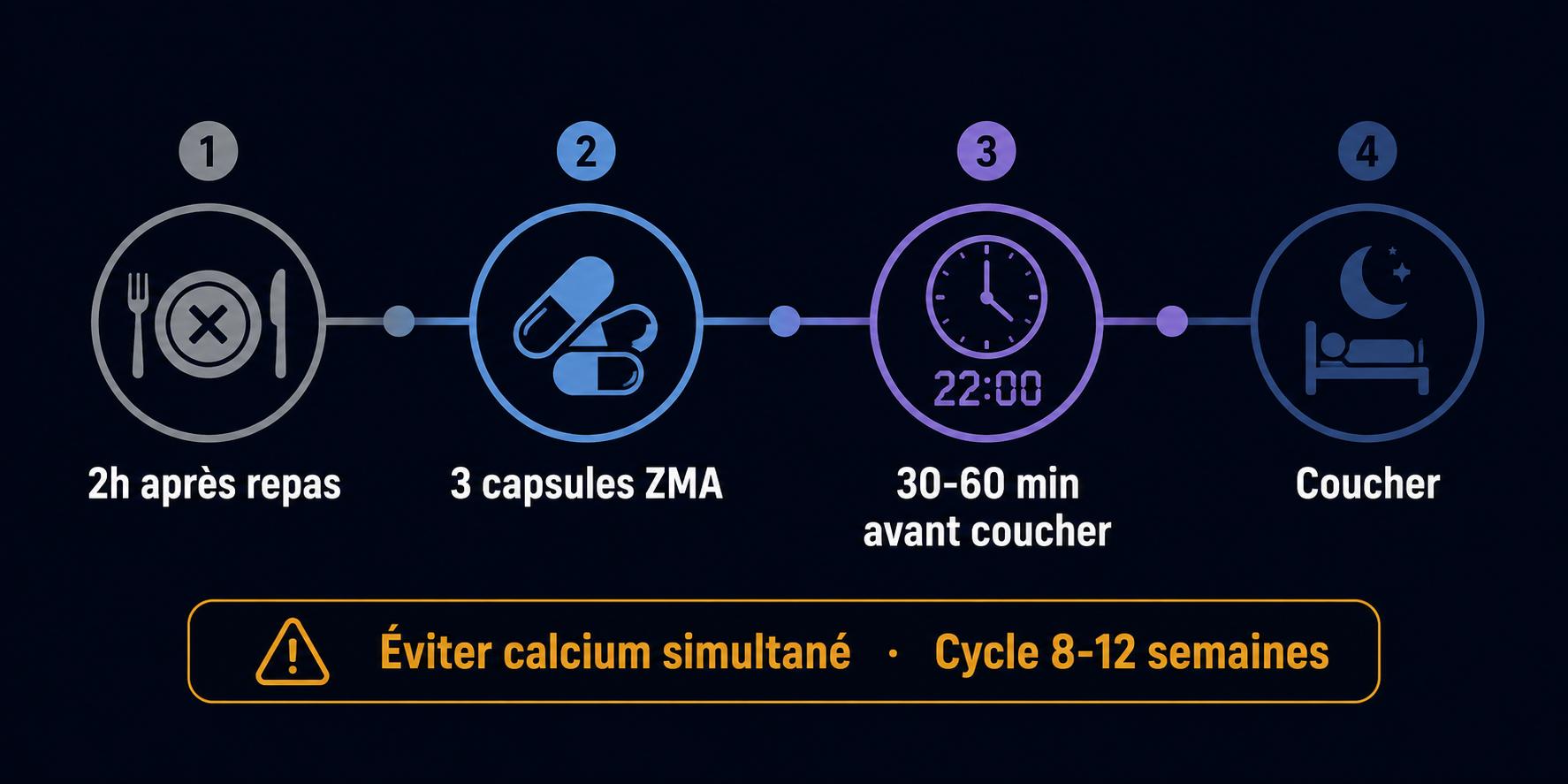 Schéma timing ZMA musculation : quand prendre ZMA le soir 30 minutes avant coucher estomac vide