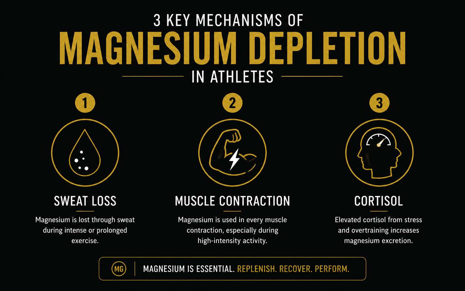 infographie mécanismes perte magnésium chez le sportif — sueur contraction cortisol